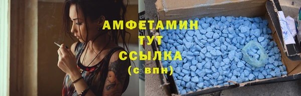 индика Каменногорск