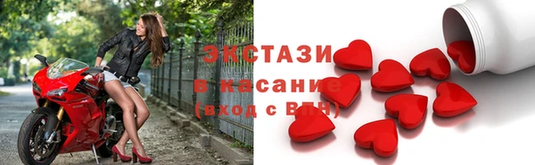 индика Каменногорск