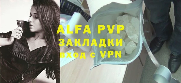 индика Каменногорск