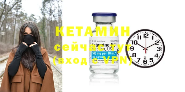 индика Каменногорск