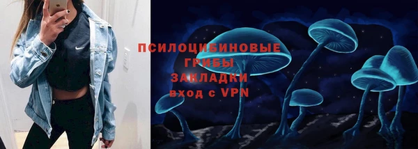 индика Каменногорск