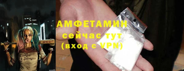 индика Каменногорск