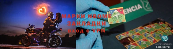индика Каменногорск