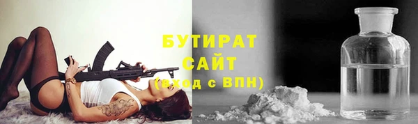 индика Каменногорск