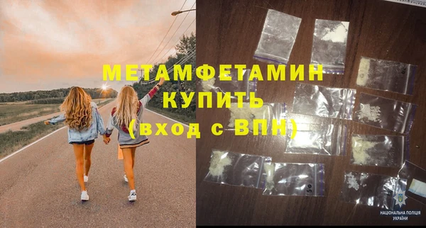 индика Каменногорск