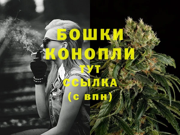 хмурый Инсар