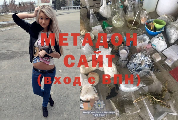 индика Каменногорск