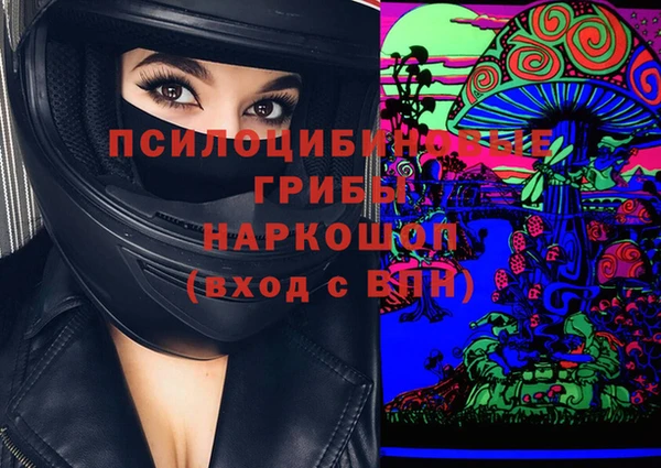хмурый Инсар
