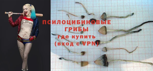 хмурый Инсар