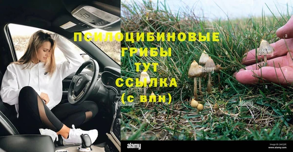 мяу мяу кристалл Каменка
