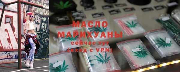 индика Каменногорск